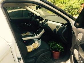 国产路虎收车视频播放下载