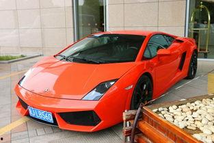 国产r3视频橙红色