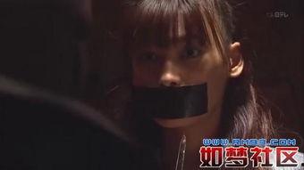 国产那种视频,展现中国故事，传承文化魅力