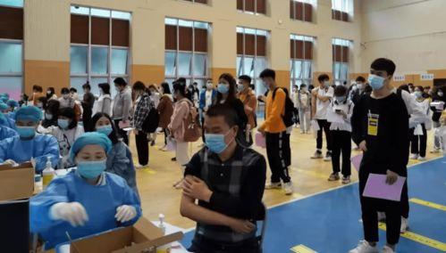 国产馄饨评测最新消息视频,最新视频揭秘口感与品质大比拼