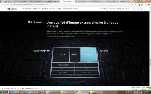 国产AAAAAA片视频