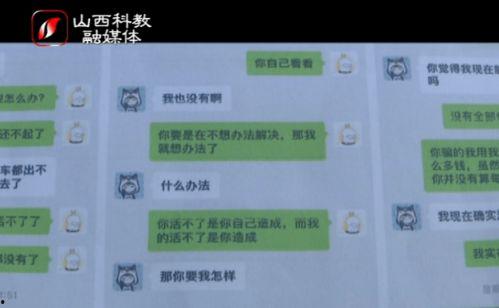 手机在线视频国产山西万,手机在线视频的本土创新之路