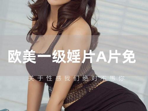 一级A片国产片视频,揭秘一级A片国产片背后的故事