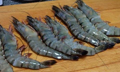 国产黑虎虾开背视频,国产美味虾料理新体验