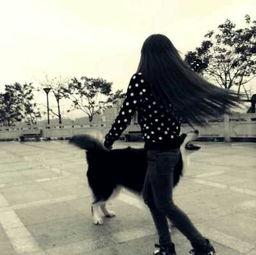 国产宅男视频大全