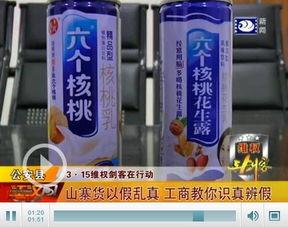 国产假冒进口产品案例视频,视频案例深度剖析