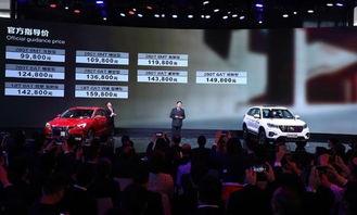 撒贝宁国产车视频,揭秘民族品牌崛起之路