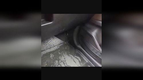 保养国产汽车吐槽视频,揭秘保养陷阱与真实体验